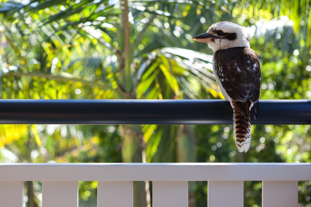 Cavvanbah Beach House Byron Bay Dış mekan fotoğraf